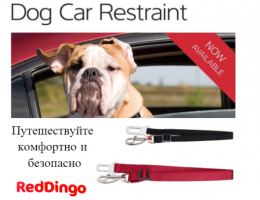 dog _car_restraint_flyer_with_fact_sheet_dingomarket_baner5